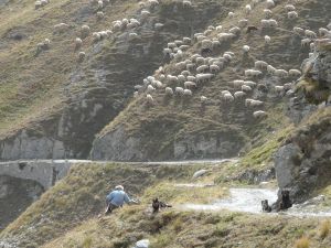 Xtrallusion photo library of independent, self-guided walking and sightseeing holidays in Italy. Pictures, images, photos and photographs taken along the way of this 1-day walking itinerary, to give you a visual impression of the day's walk.